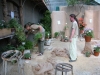 Pelargonien-Ausstellung-Vorbereitung-(40)